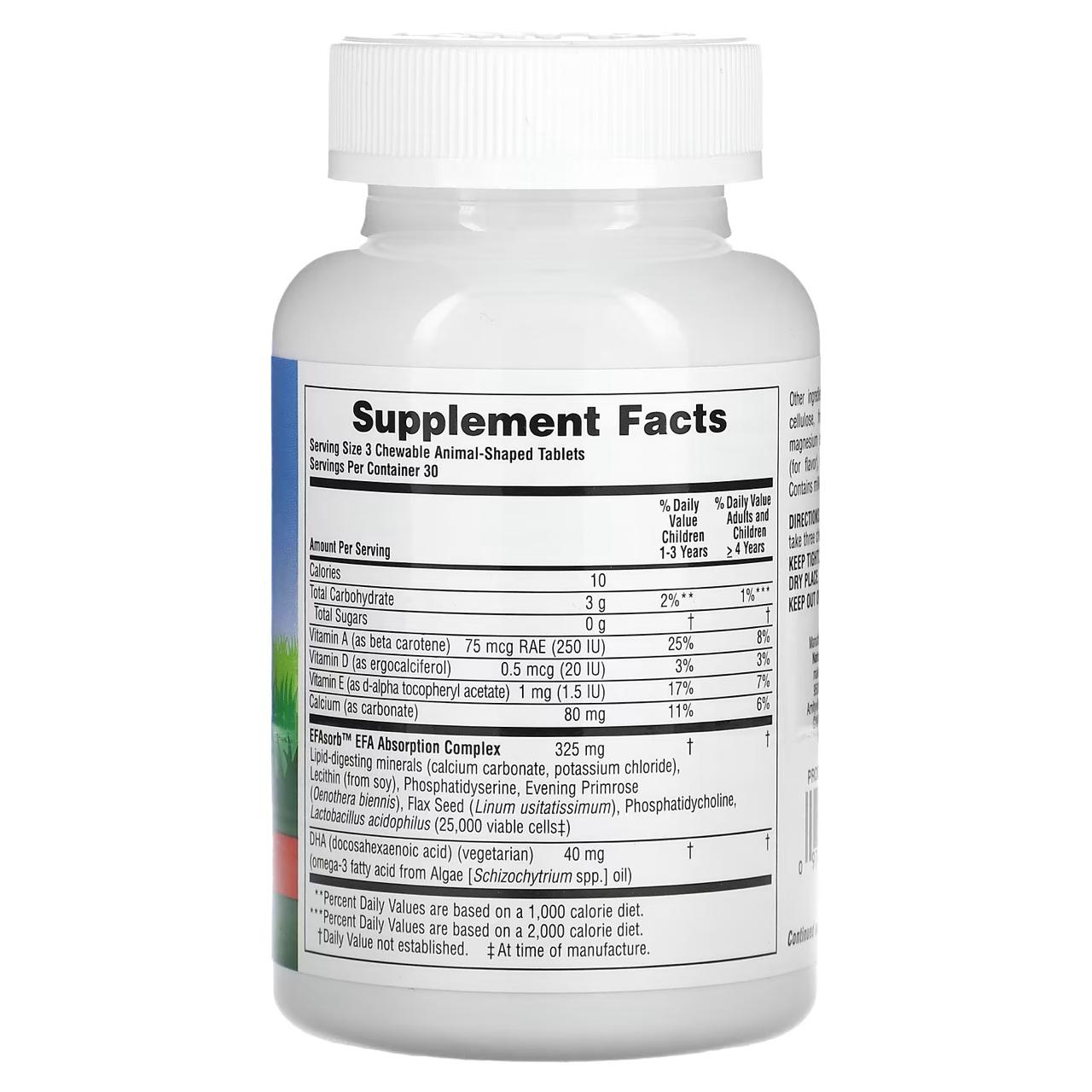 NaturesPlus® Animal Parade, DHA Chewable, 90 Tablets
