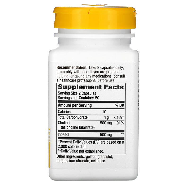 Choline & Inositol, 500 mg, 100 Capsules