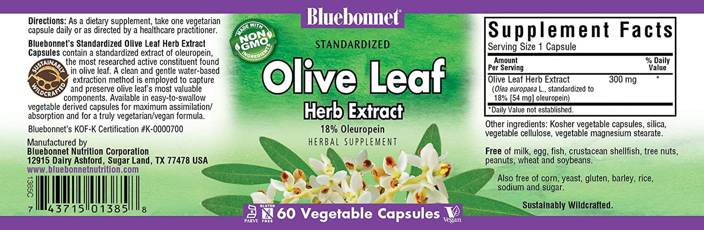 Standardized Olive Leaf Herb Extract, 60 Count