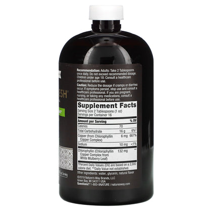 Chlorofresh, Liquid Chlorophyll, Mint, 132 mg, 16 fl oz (473.2 ml)